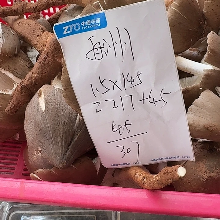 舟***洲南华……………………………………中国大陆