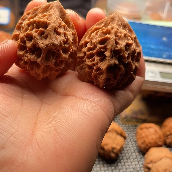 把件桃核全品龙鳞边41肚42