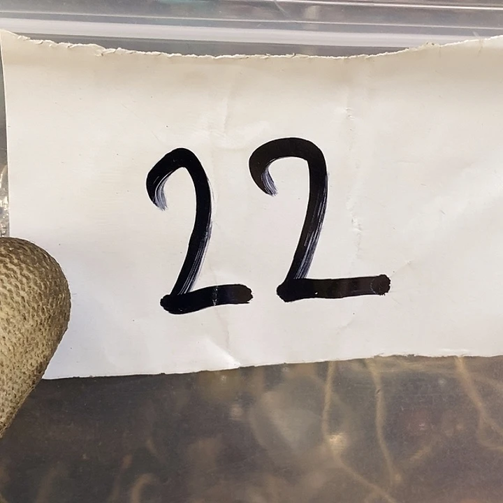 燕***M最美古村专属链接