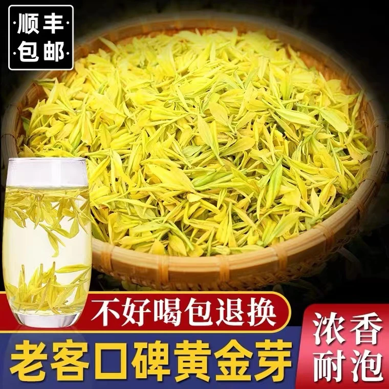 『25年新茶补贴款』 雨前黄金芽 豆香味 浓香耐泡（限量活动款） 250g