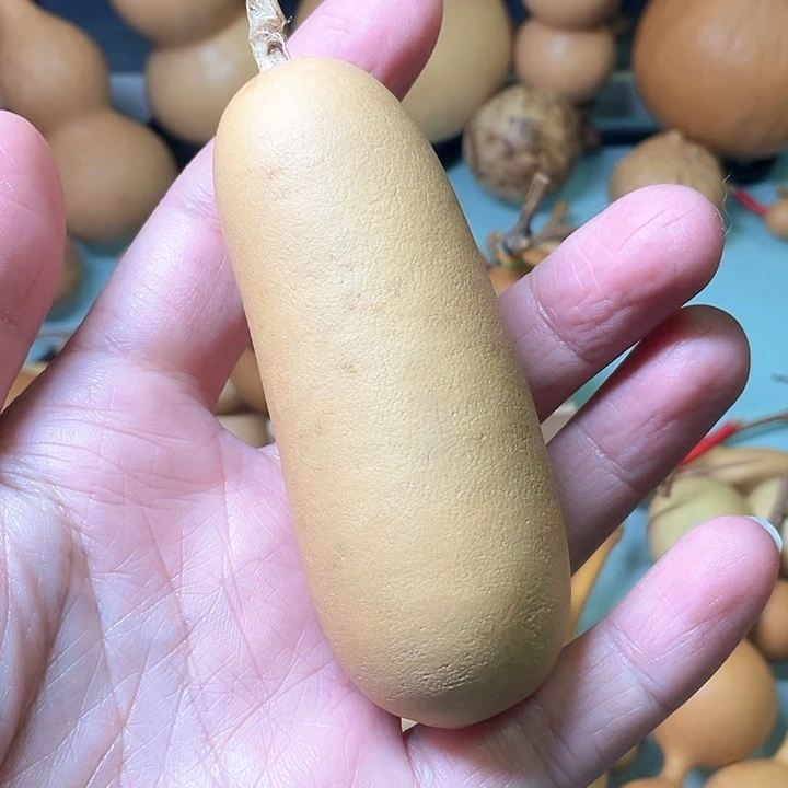 v*t满橘皮手把香肠葫芦