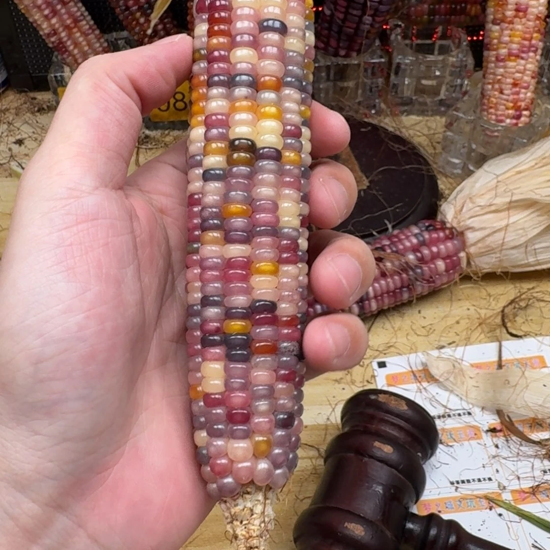 春***然柏香籽/百香籽吊坠