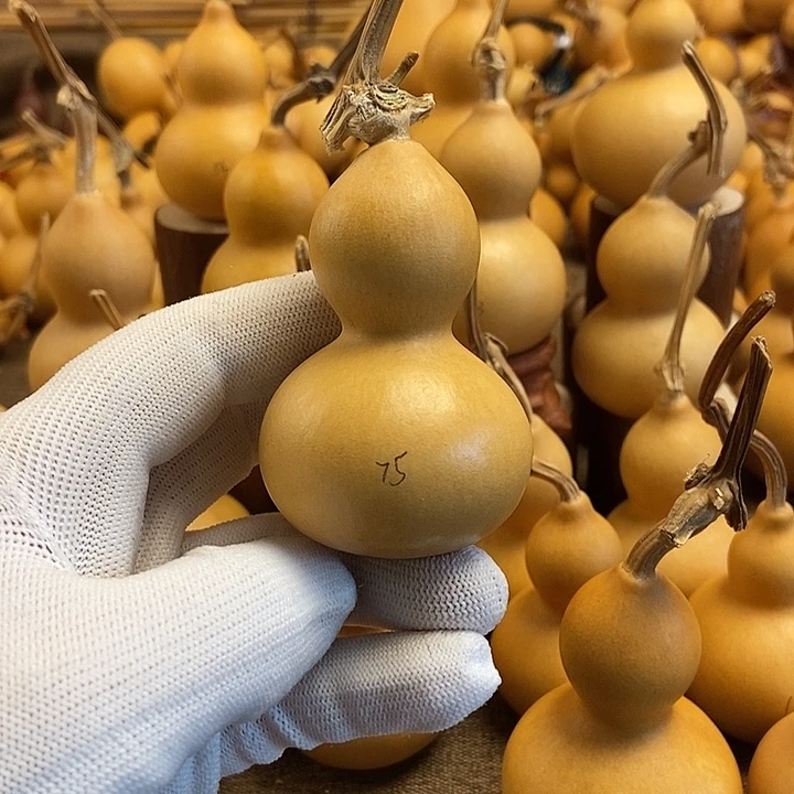 文玩葫芦 完美主义者 慎拍75