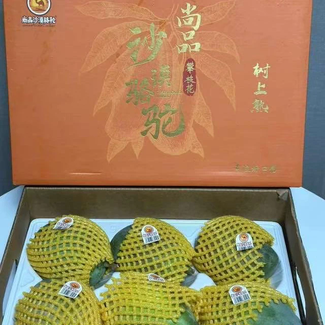 【彤果良品】沙漠骆驼凯特芒礼盒五斤装