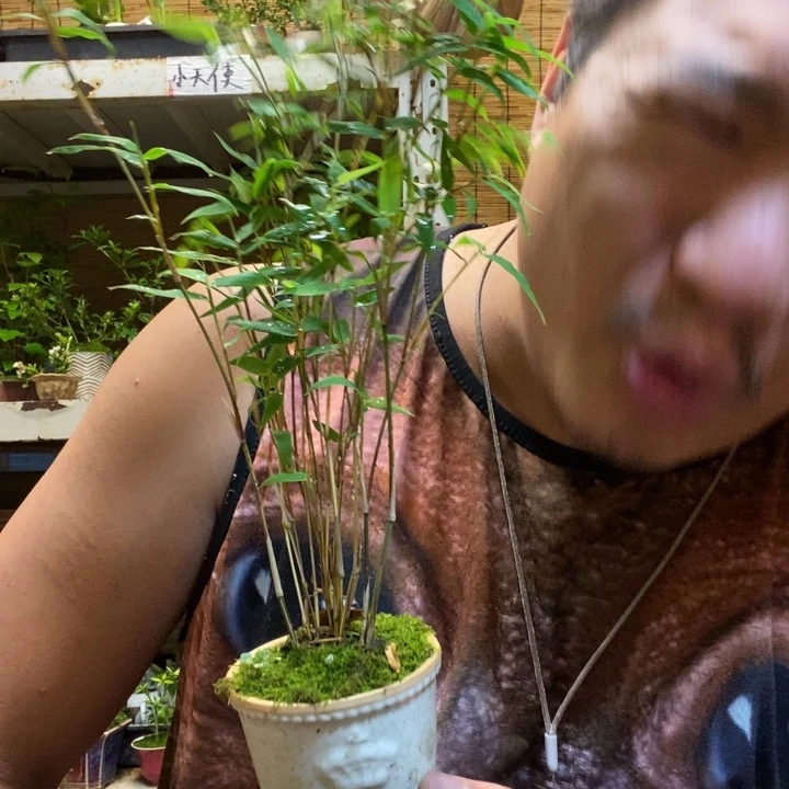 一物一拍所见即所得373