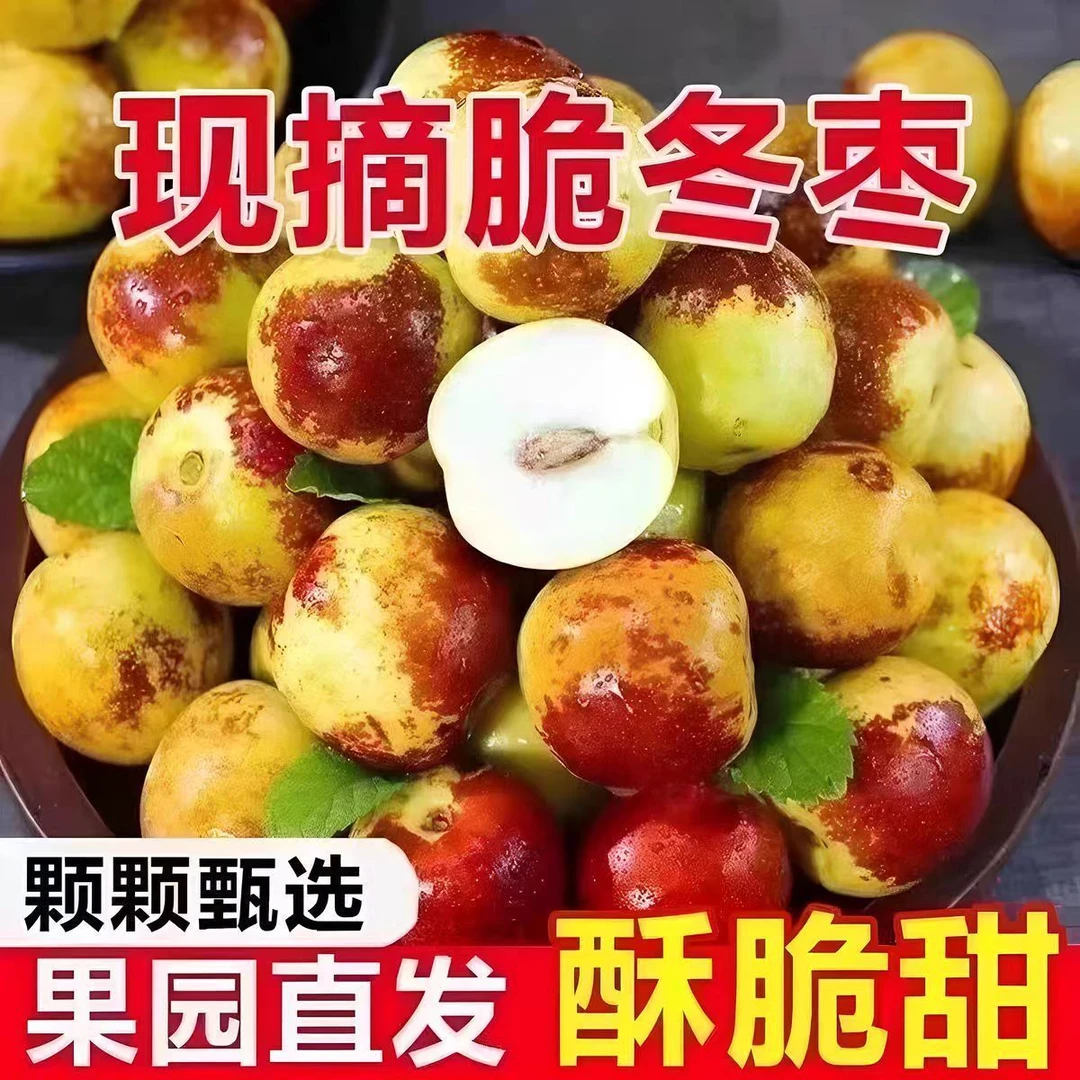 【顺丰包邮】山西庙上正宗冬枣现摘现发脆甜多汁新鲜应季水果枣