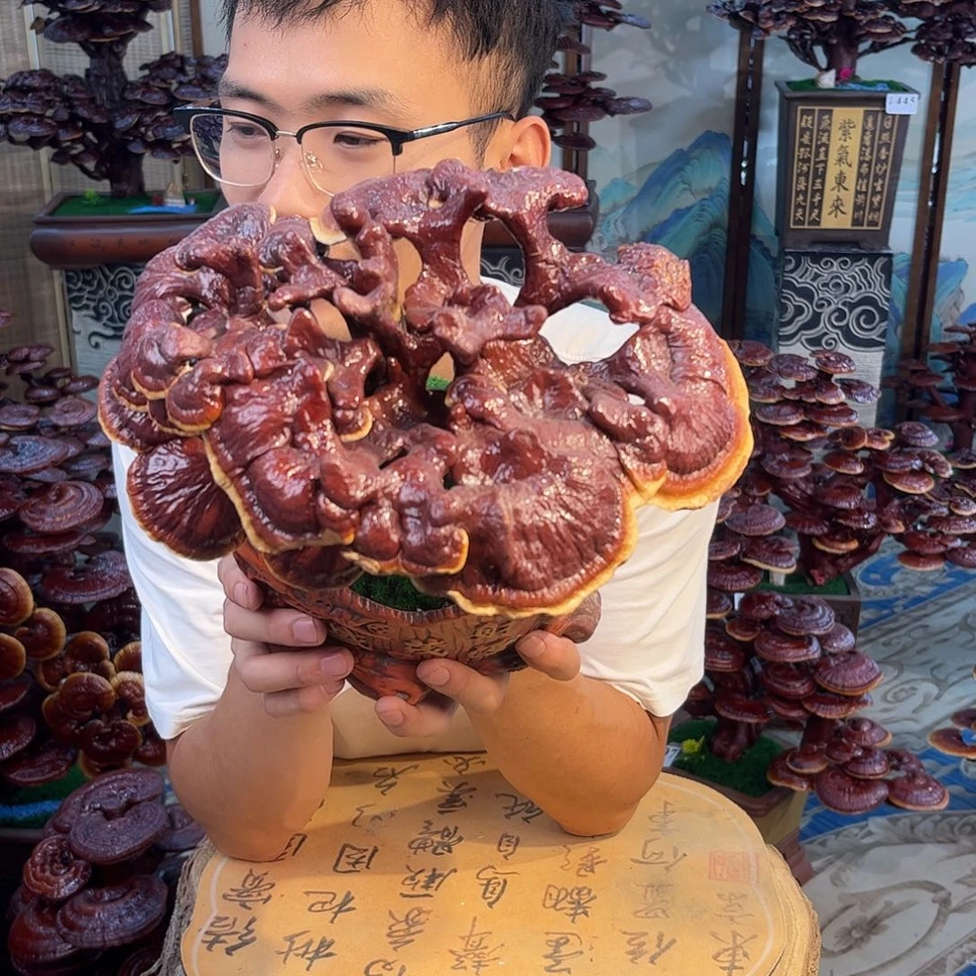 无花朵888888888888