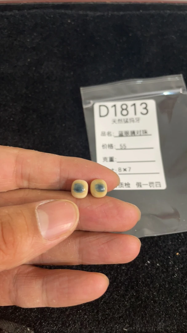 D1813天然猛犸牙蓝眼睛对珠