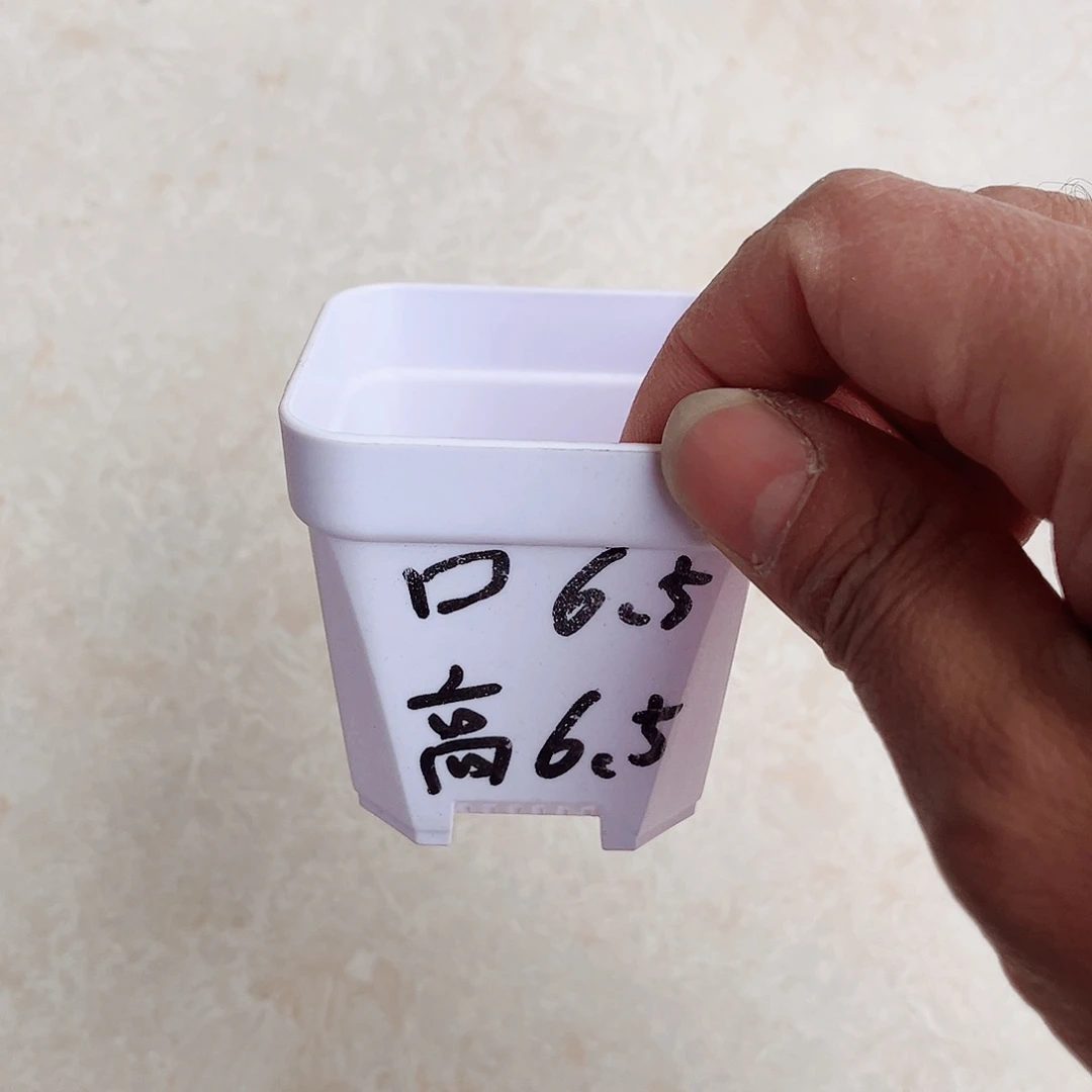 塑料加厚矮胖6.5白方盆30个无托