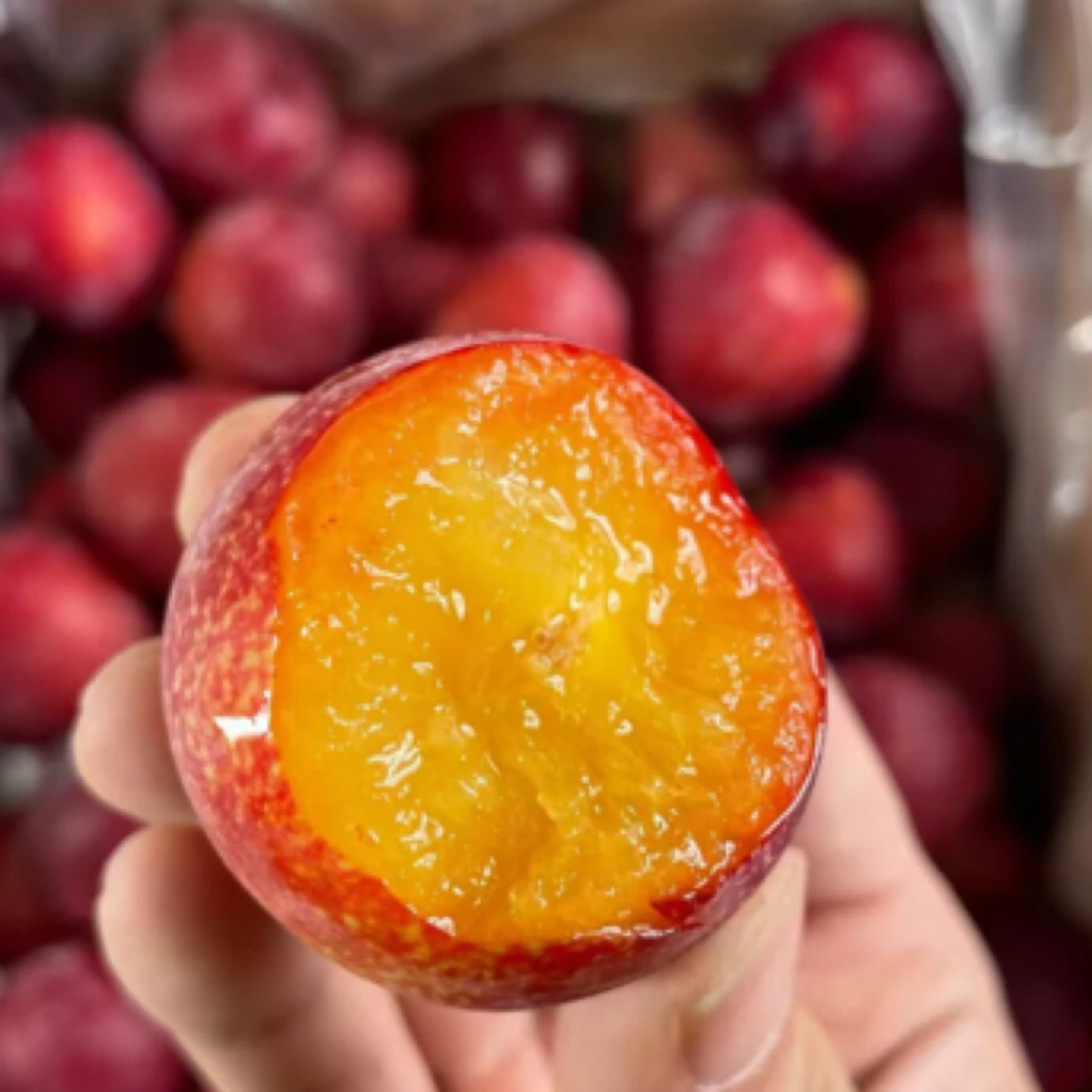 智利进口樱桃李 （2斤左右）