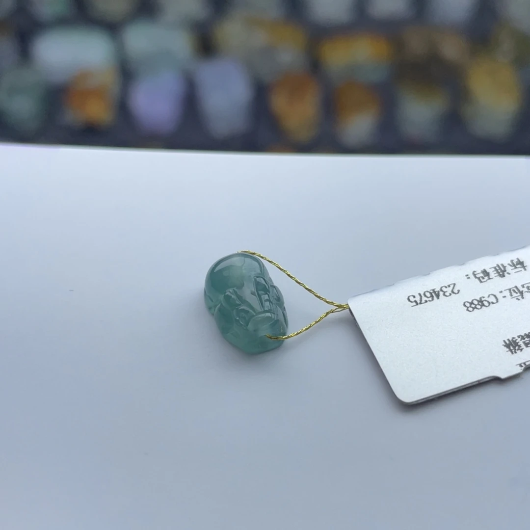 叶***姐翡翠未镶嵌颈饰貔貅