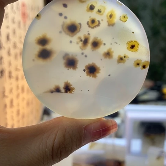 玛瑙/玉髓吊坠未镶嵌