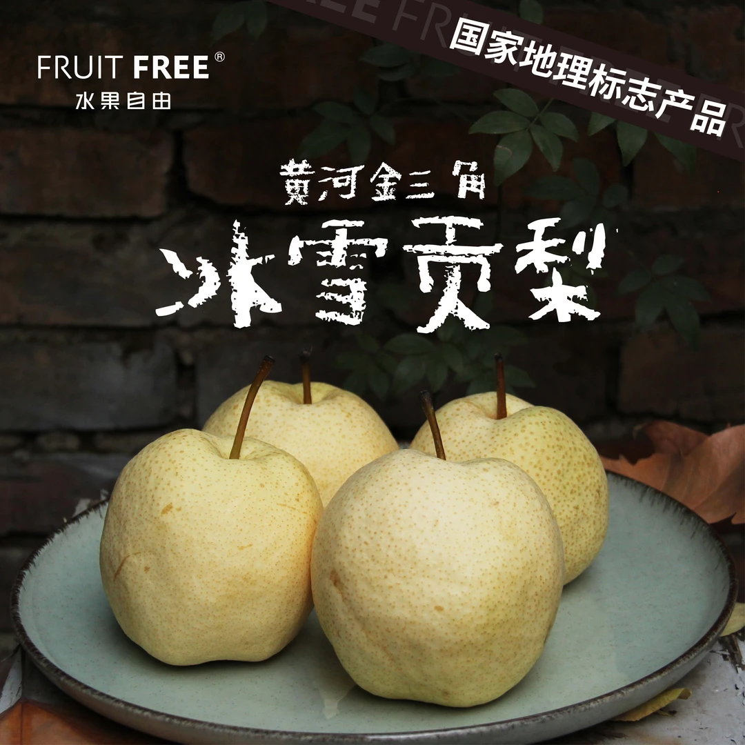 FRUIT FREE/水果自由冰雪贡梨雪梨脆甜爆汁源头果园直发，京东包邮