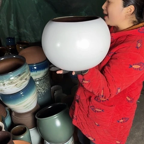 口19高22瑕疵一个盆。