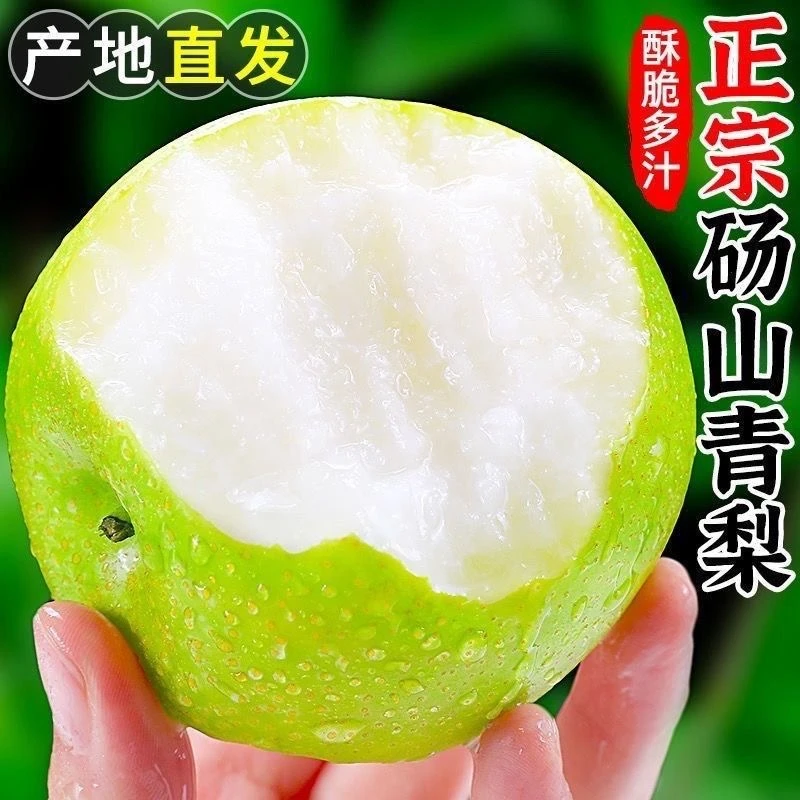 正宗安徽砀山翠冠梨皮薄多汁脆甜无渣5斤大果_新鲜应季水果4