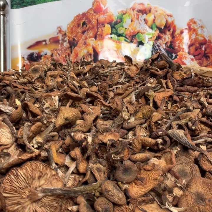 干榛蘑500克中国大陆