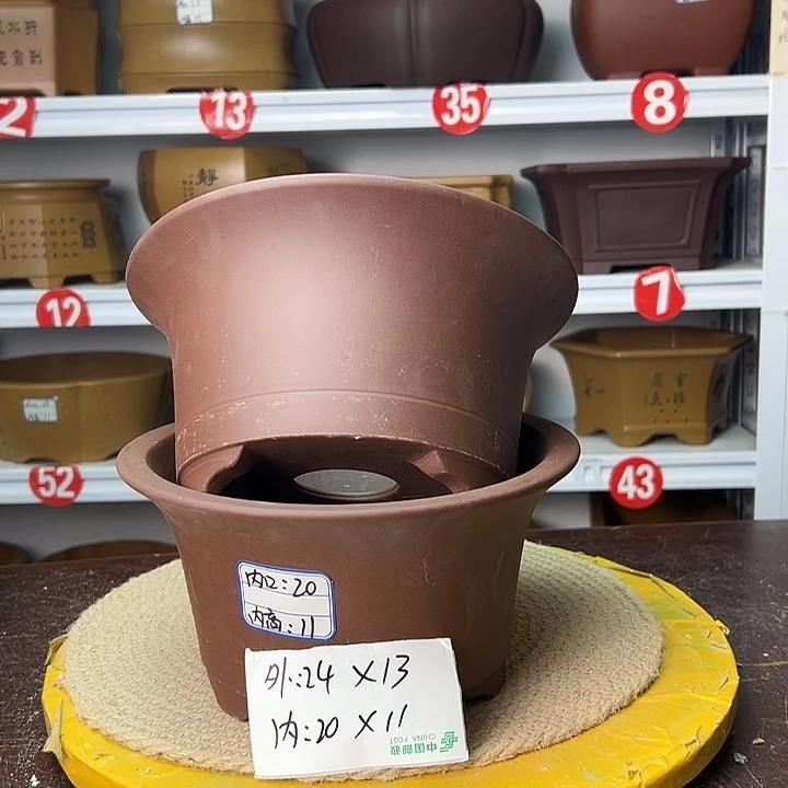 花盆紫砂你在一起