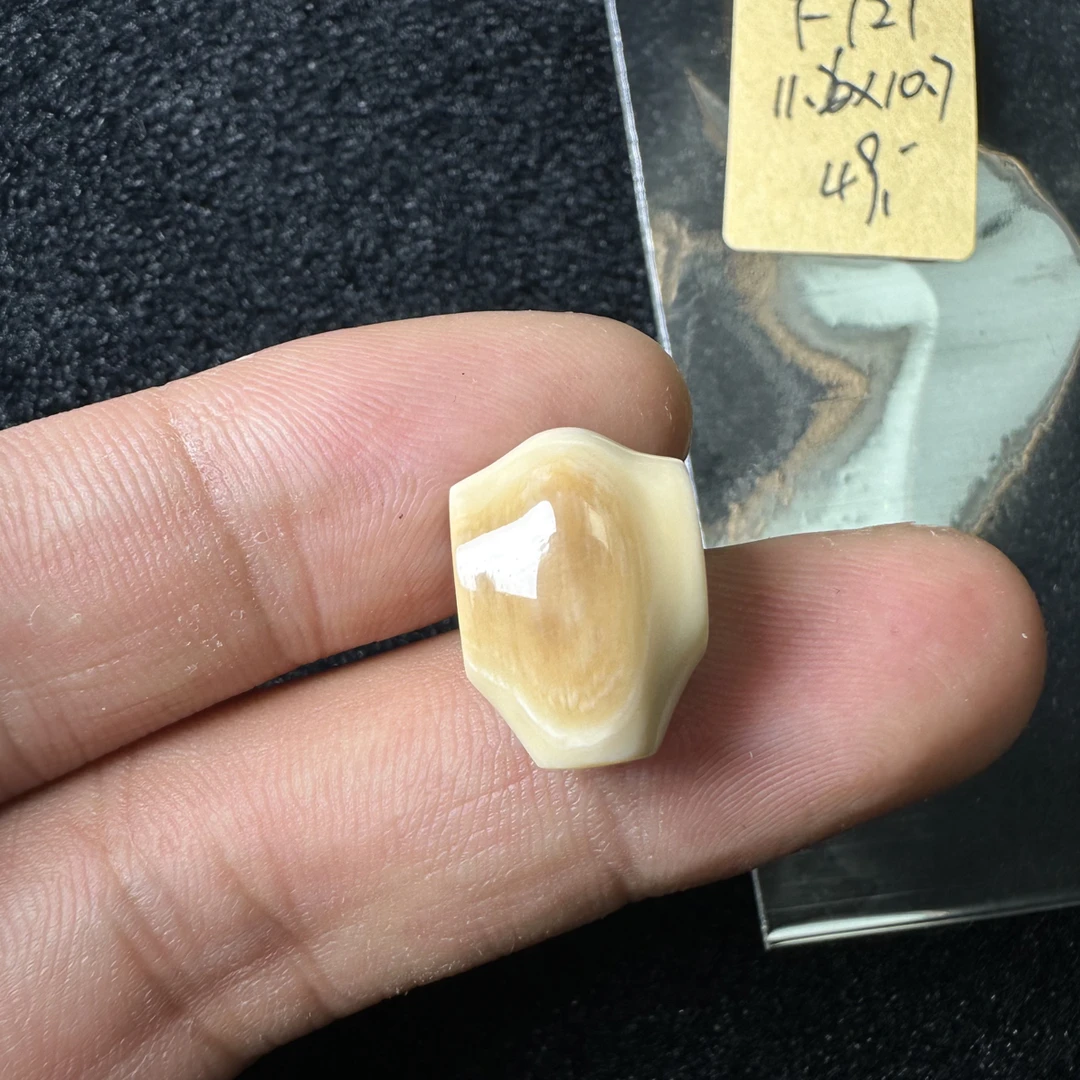 F721猛犸象牙对孔11.6*10.7mm鲨鱼背三通冰料果冻料