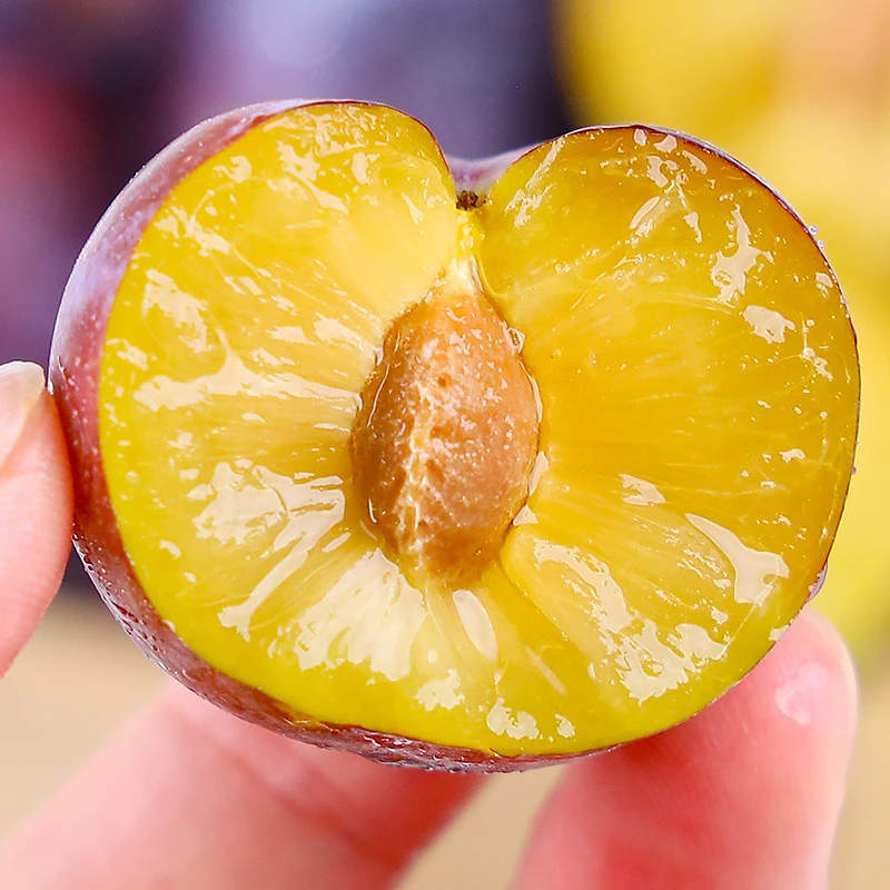 【顺丰快递】四川阿坝州汶川茂县脆红李脱骨李子脆甜多汁爽口肉厚