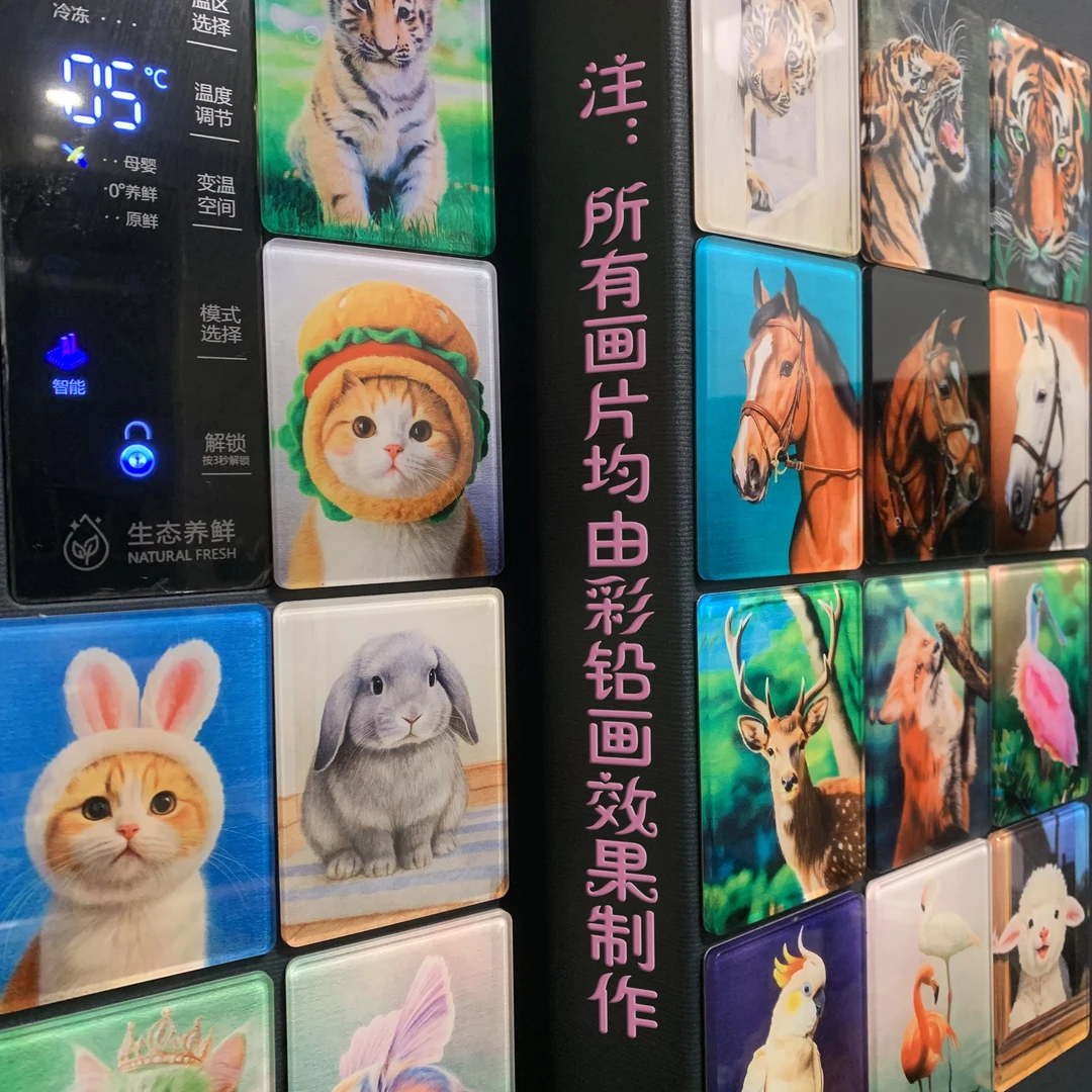 【动物绘画主题冰箱贴】6x8cm超厚高透水晶亚克力磁吸文创周边礼物