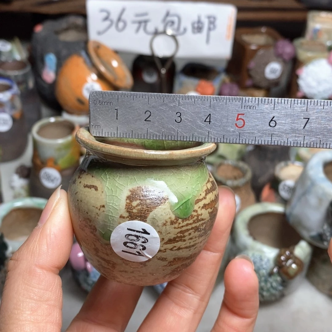 拍5送一个小礼物