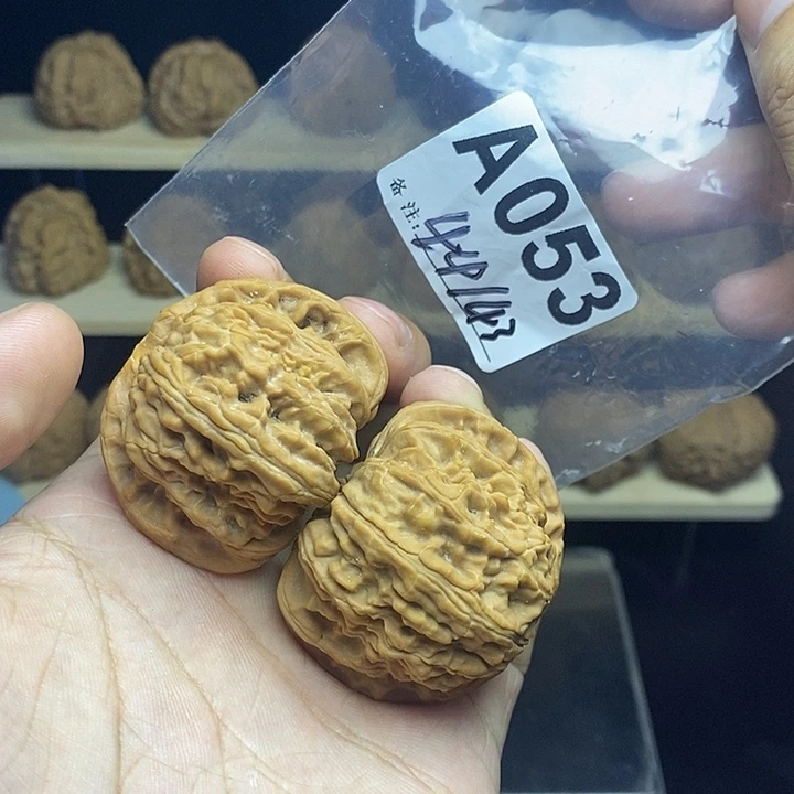核桃A53ssss级白狮子
