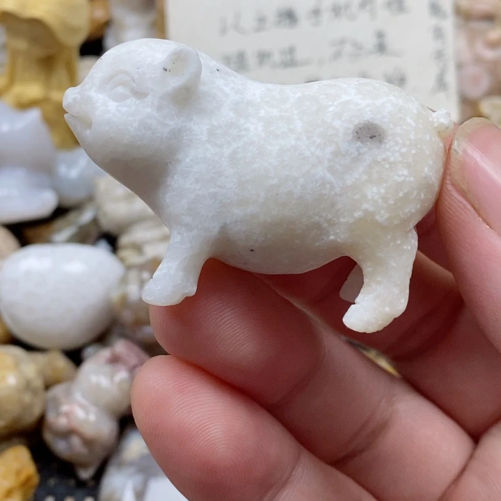 颈饰未镶嵌硅化珊瑚（珊瑚玉）有瑕 哑光