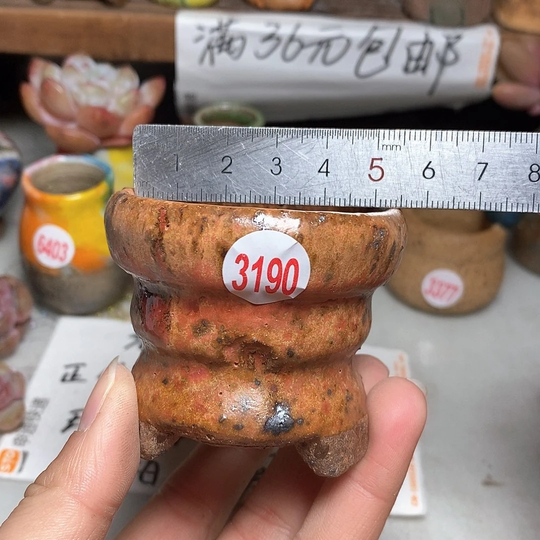 红陶拍5送一个小