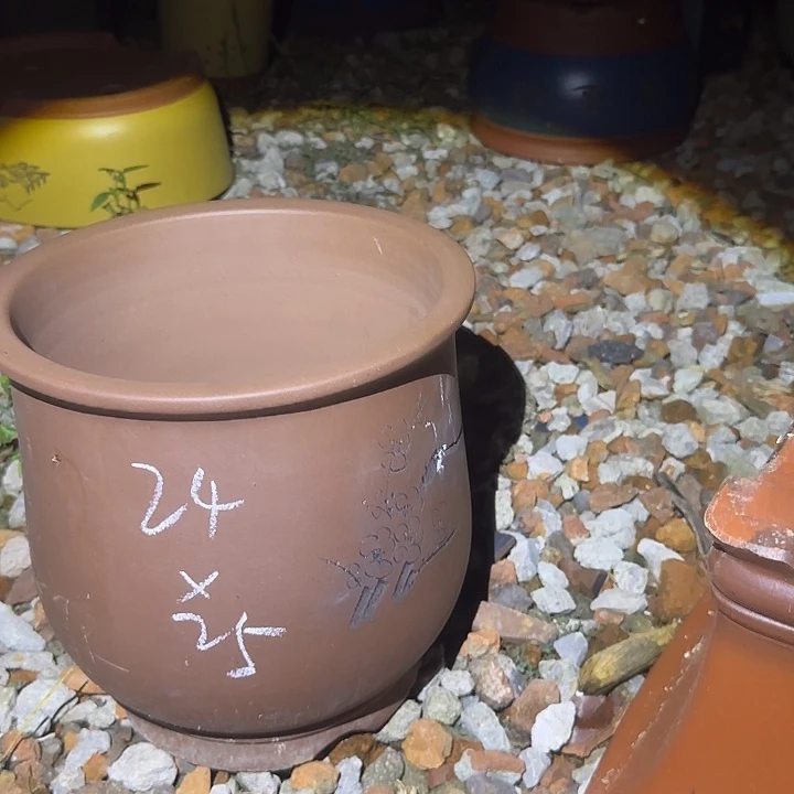 紫砂花盆盆景盆盆景花盆盆景