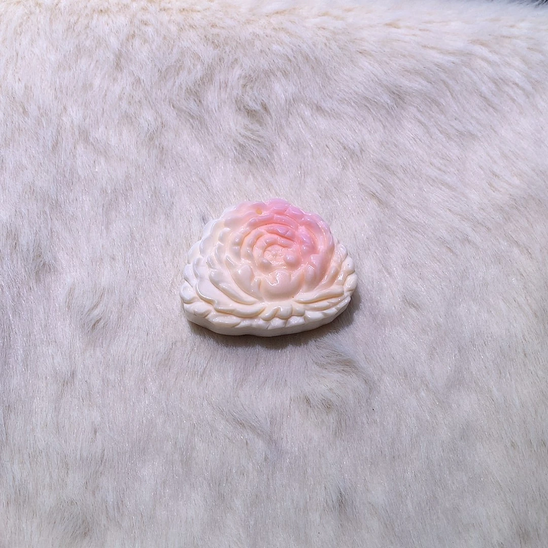 贝壳非金属女王螺贝牌35号