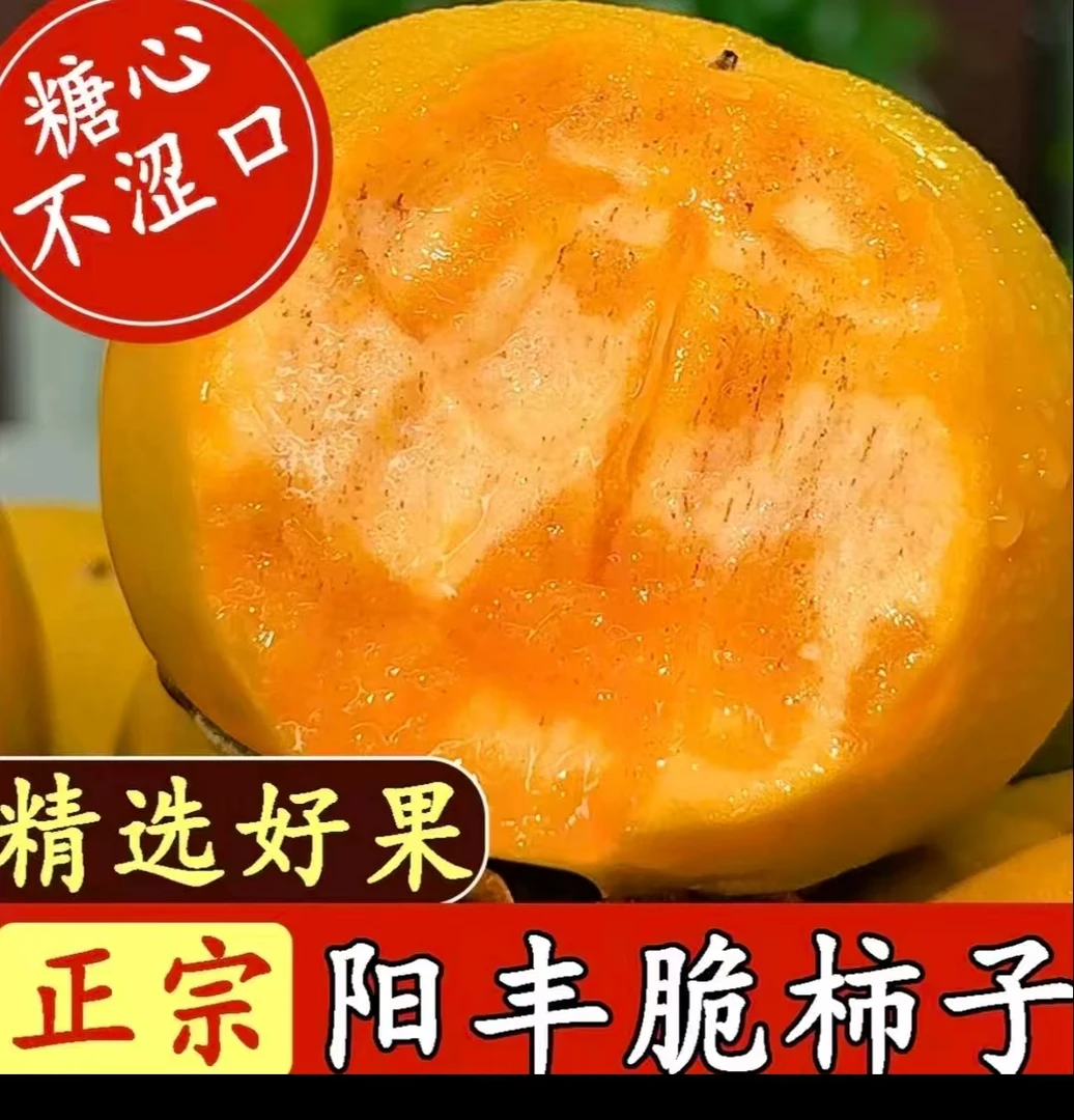 山西阳丰脆柿3新鲜采摘巧克力脆甜柿子阳丰脆甜柿子脆柿