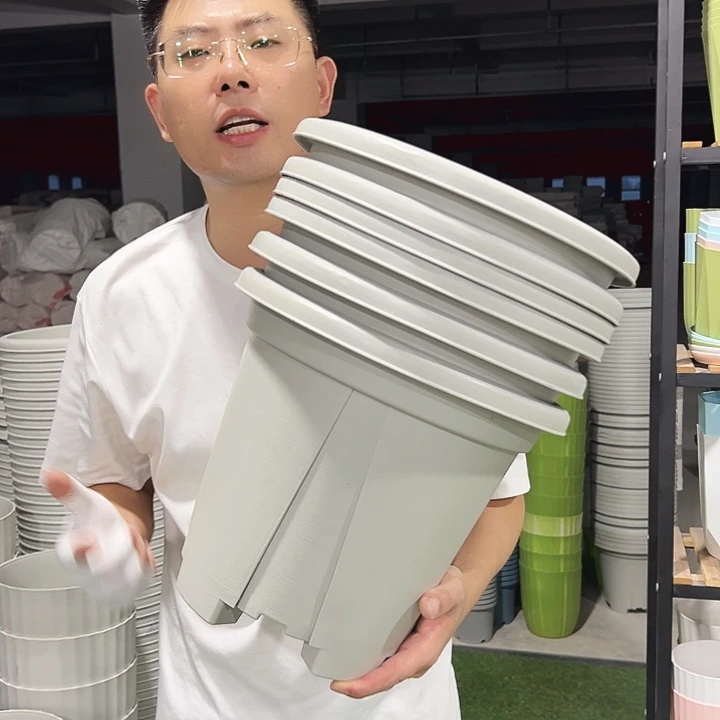 微瑕青山口32高28灰白色6只无托
