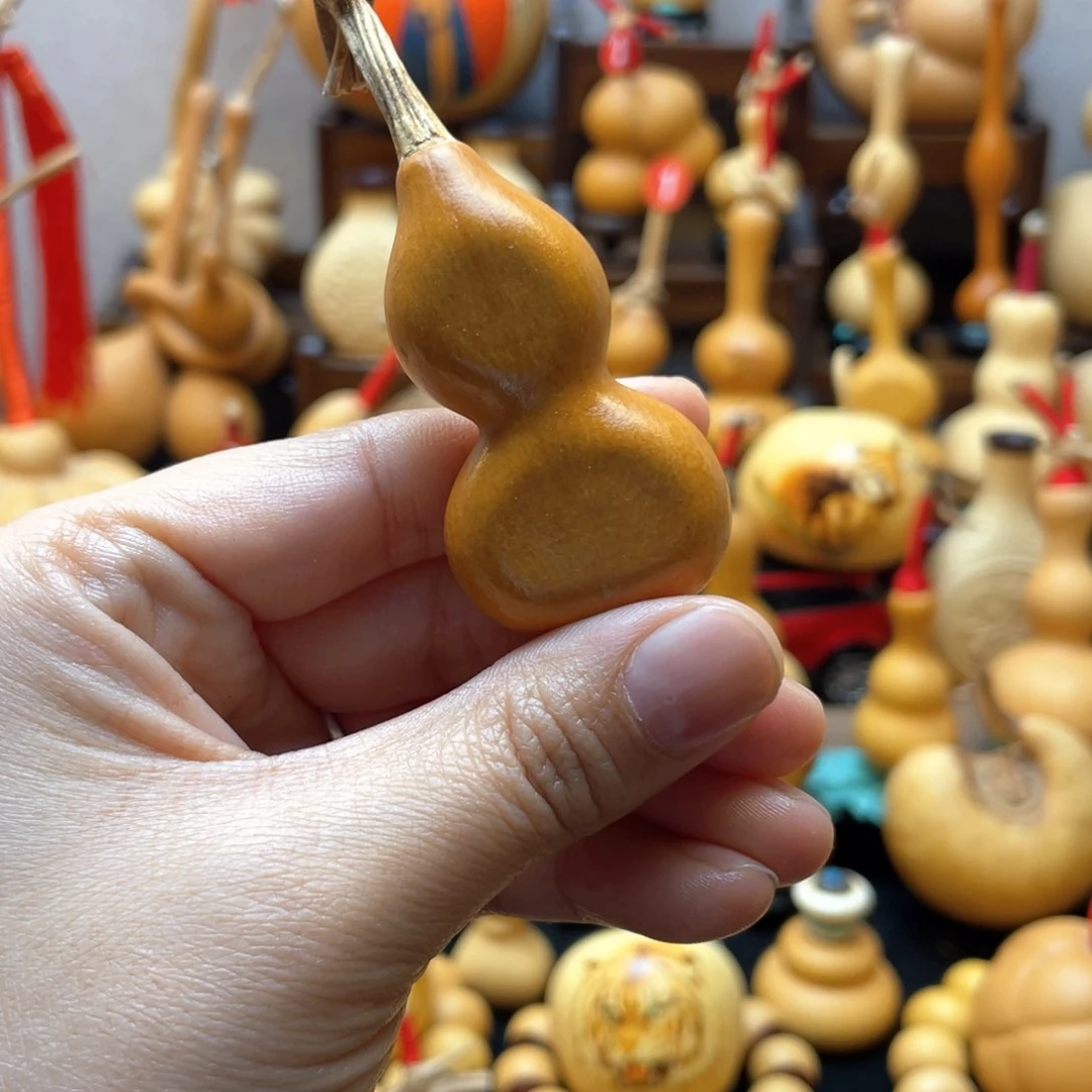 大自然的秘密第十一节你是谁