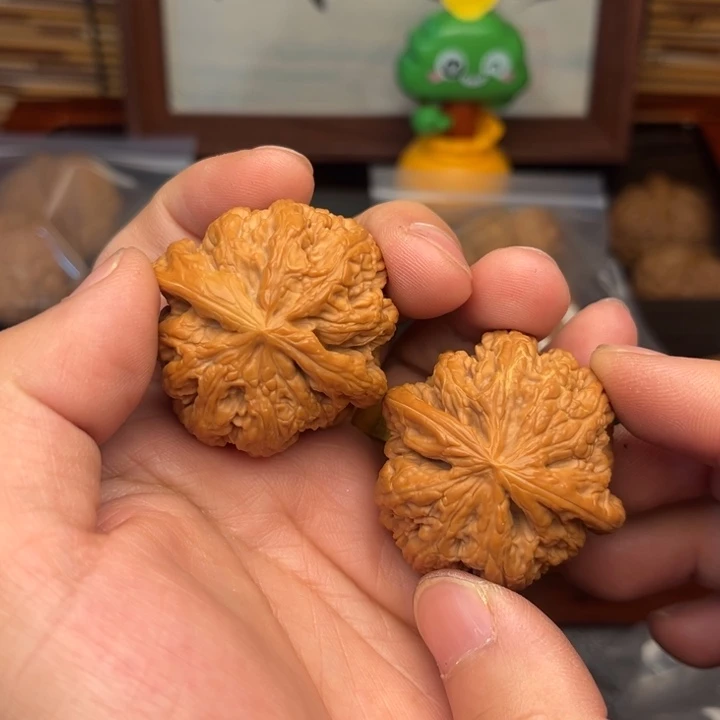 41尺精品头货大粗筋
