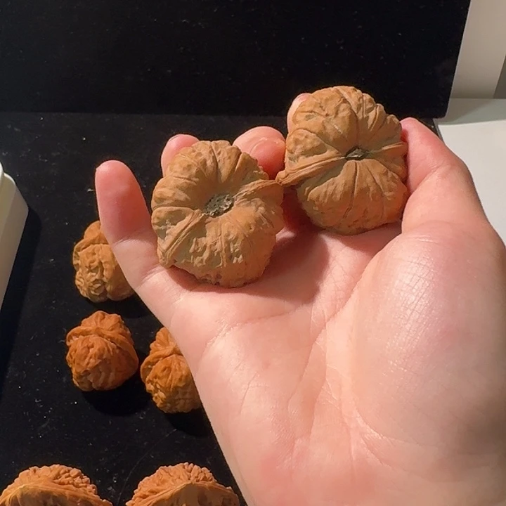 浩****核桃文玩南瓜饼子