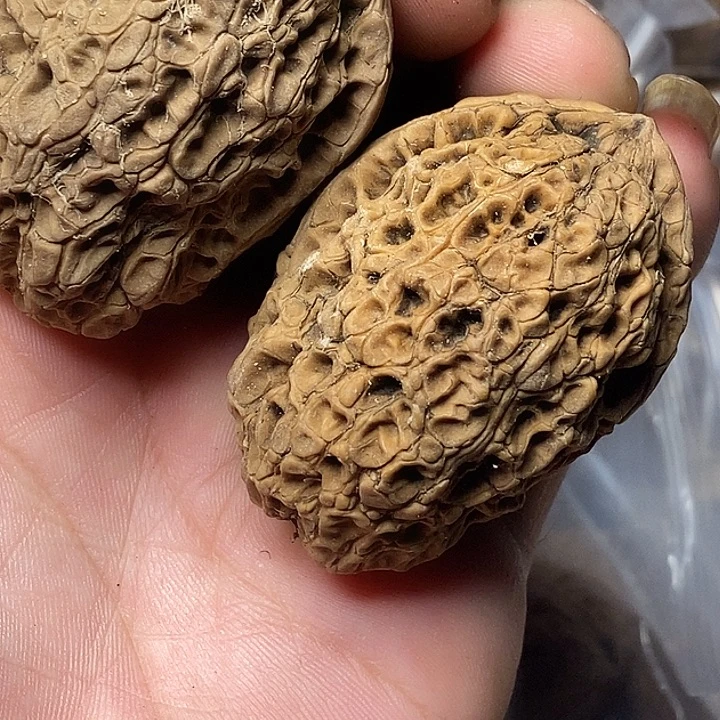 把件文玩核桃云南铁核桃26