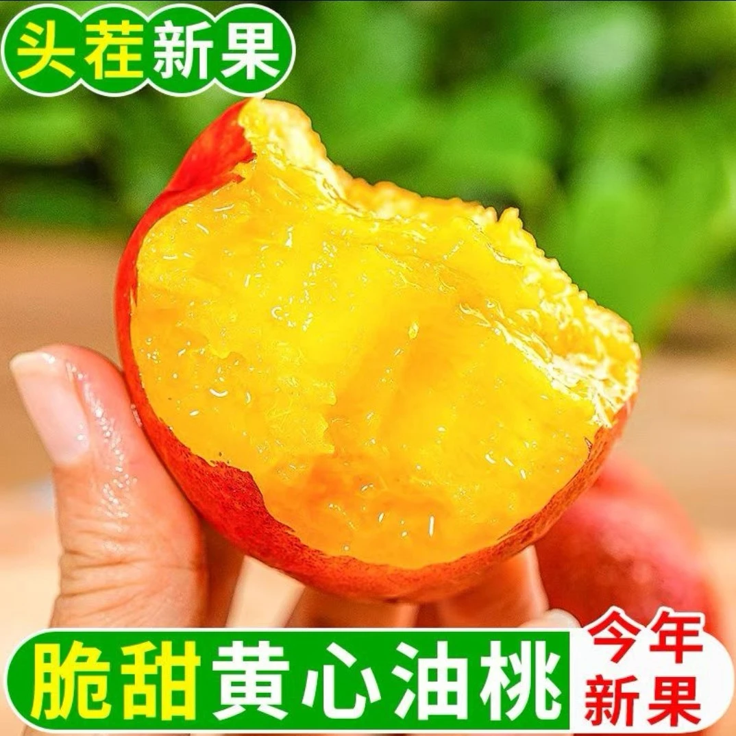 【坏果包赔】头茬黄心油桃新鲜水果脆甜多汁当季可放软汁水美味桃子