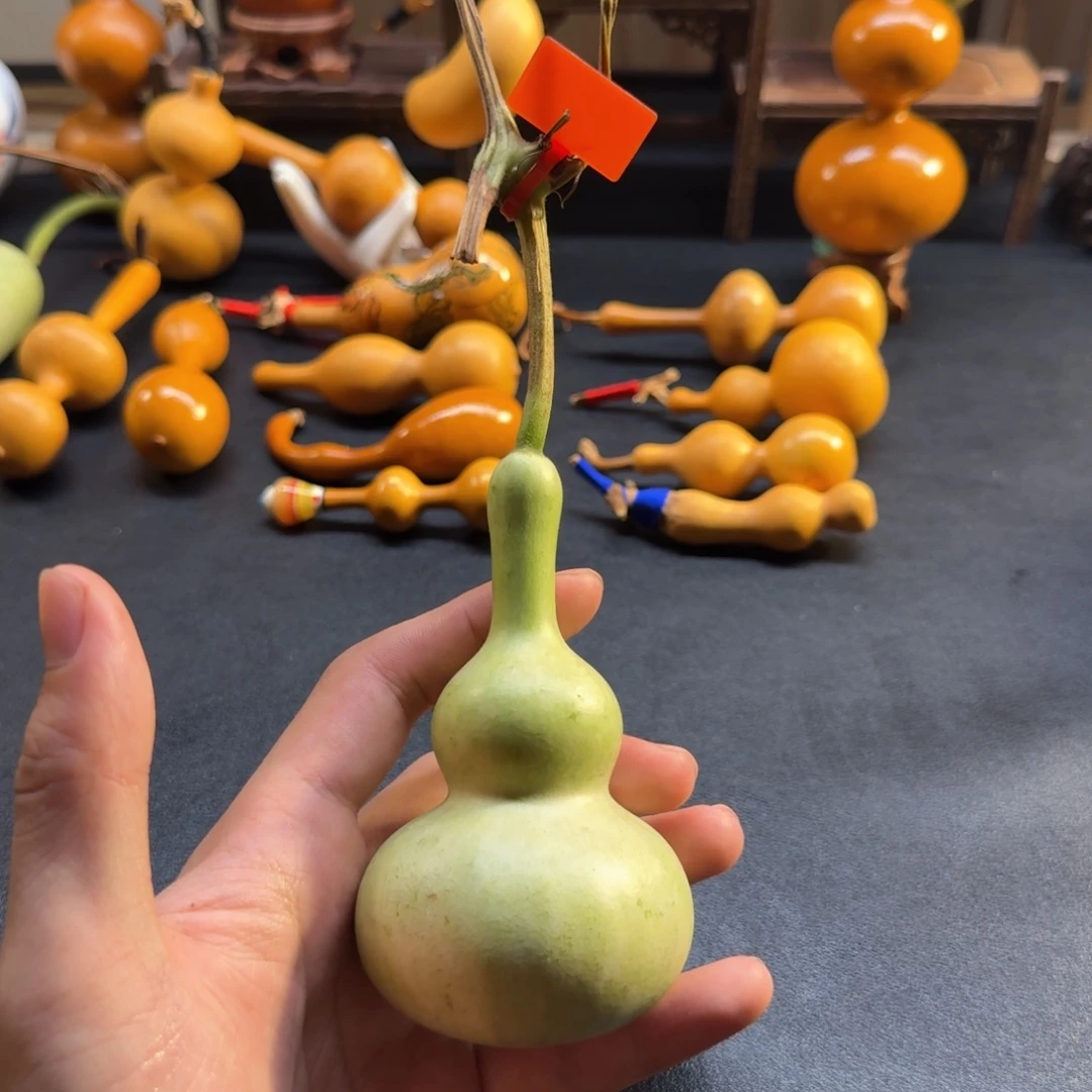 堆***堆哈哈哈哈哈哈哈哈