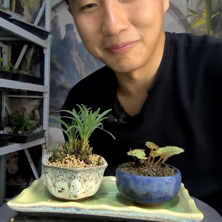 李*汉中青园艺一物一拍36
