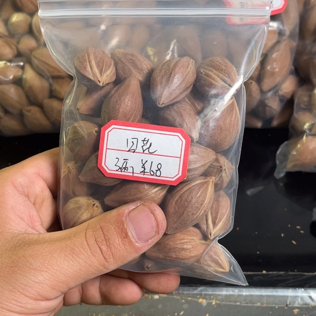 吊坠龙脊菩提凪**卄