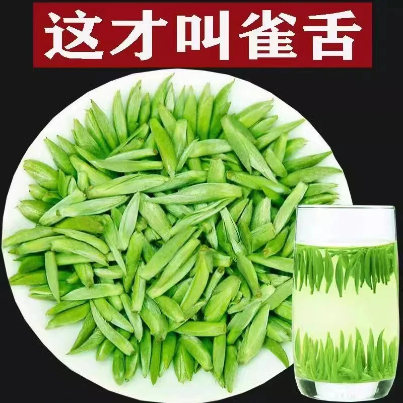正宗嫩舌绿茶2025明前新茶春茶特级手工炒制翠芽嫩芽高山云雾茶叶