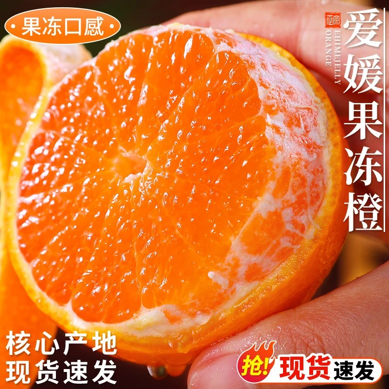 四川爱媛38号果冻橙新鲜现摘当季水果爆甜多汁无籽无渣整箱包邮