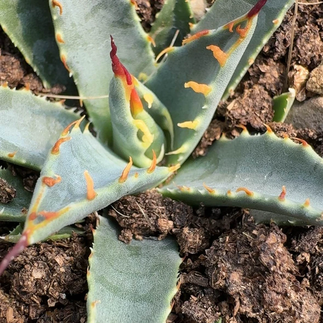 【闪购商品】28哈哈哈哈哈哈哈