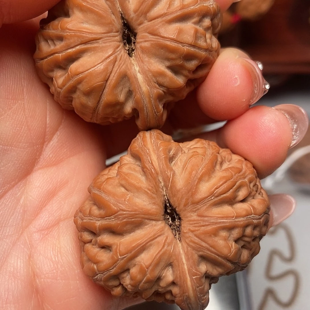 润***理大叶紫檀（黑酸枝木类）元宝全品