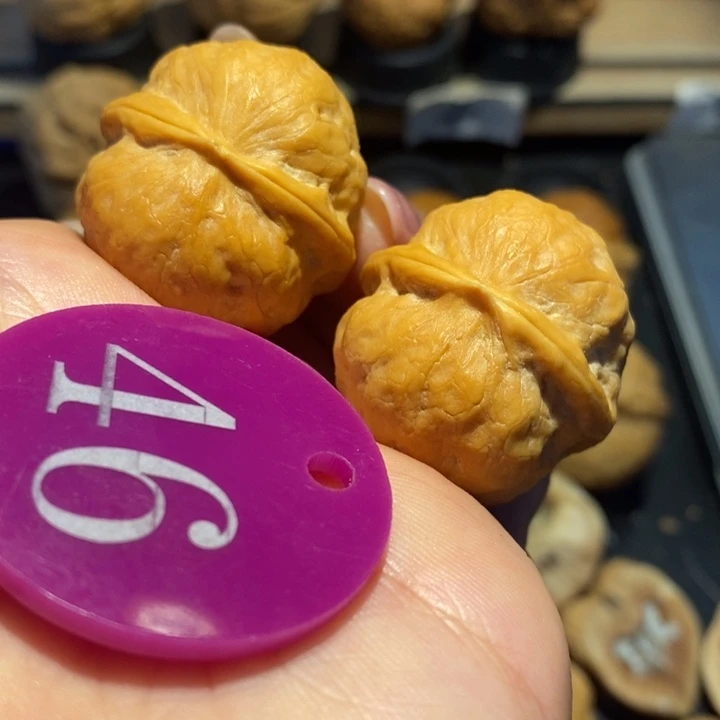 核桃源*奶黄包尺寸33