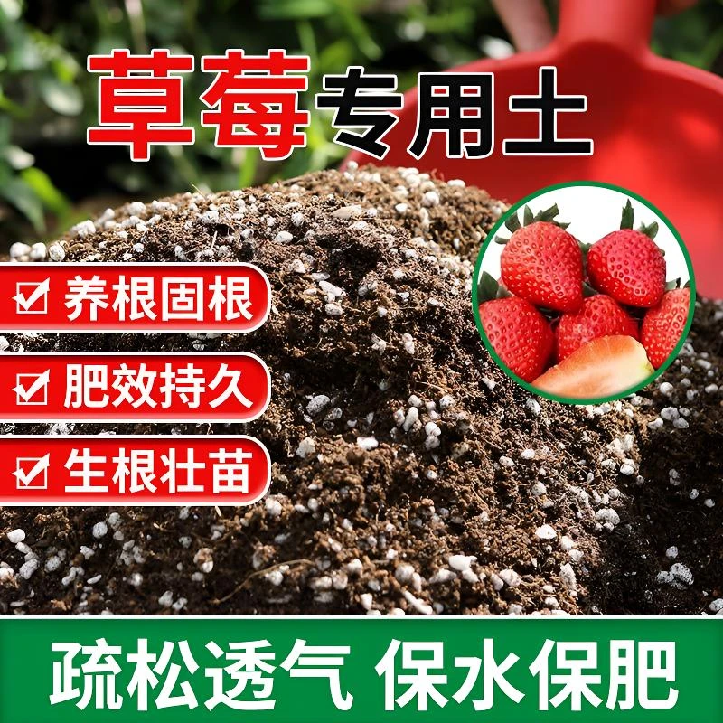 【草莓专用土5斤】升级加肥土壤盆栽绿植专用室内植物营种植土
