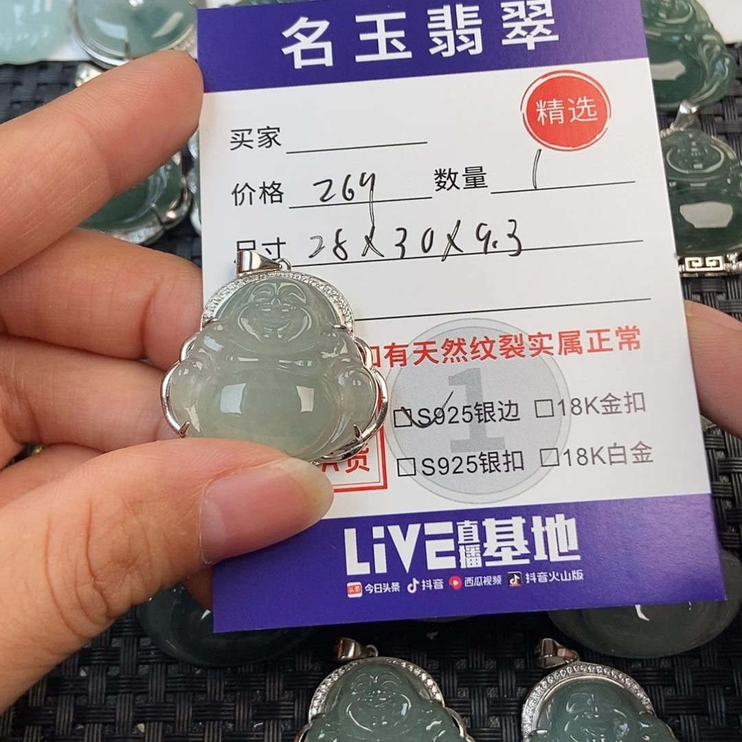 翡翠银S925镶嵌颈饰