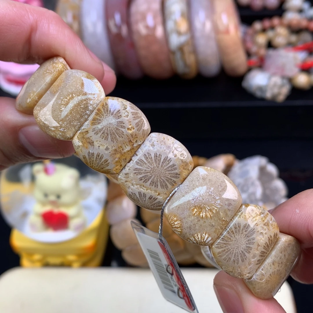 硅化珊瑚（珊瑚玉）未镶嵌颈饰15号大花花