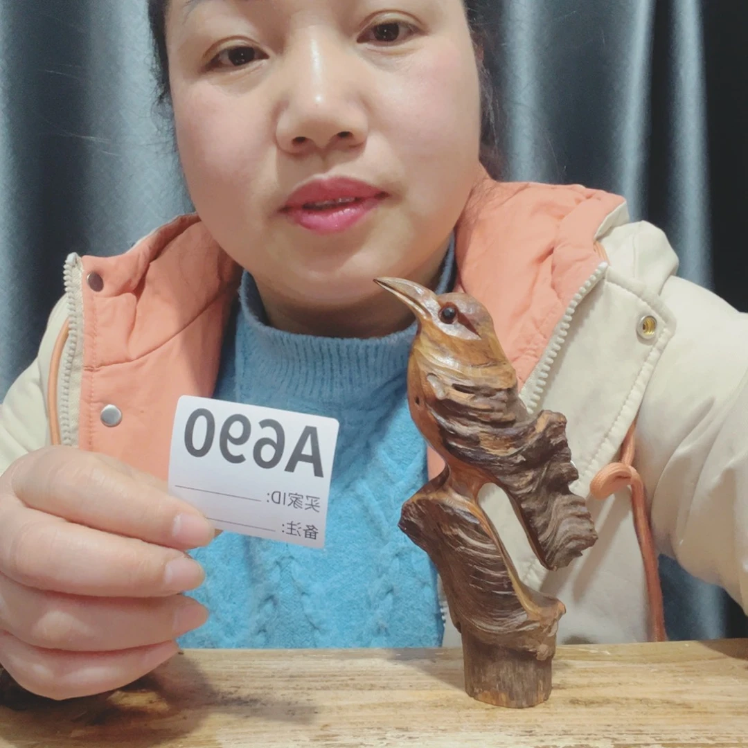 古**刻百年树的生长环境