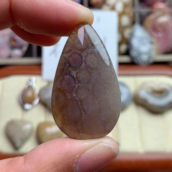 硅化珊瑚（珊瑚玉）颈饰未镶嵌